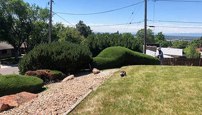 Best Landscaping Company in Englewood, CO